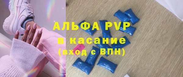 стаф Инсар